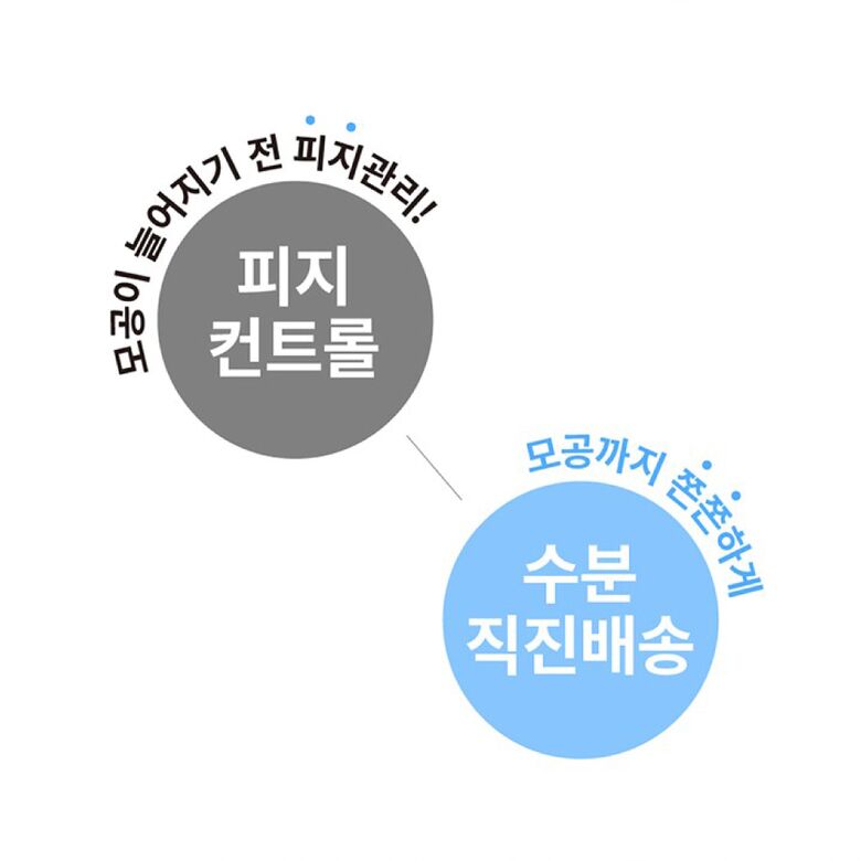 상세페이지 2